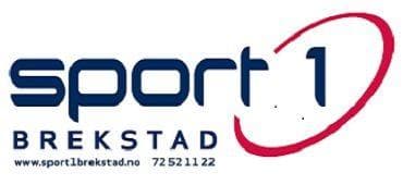 Sponsor logo #2